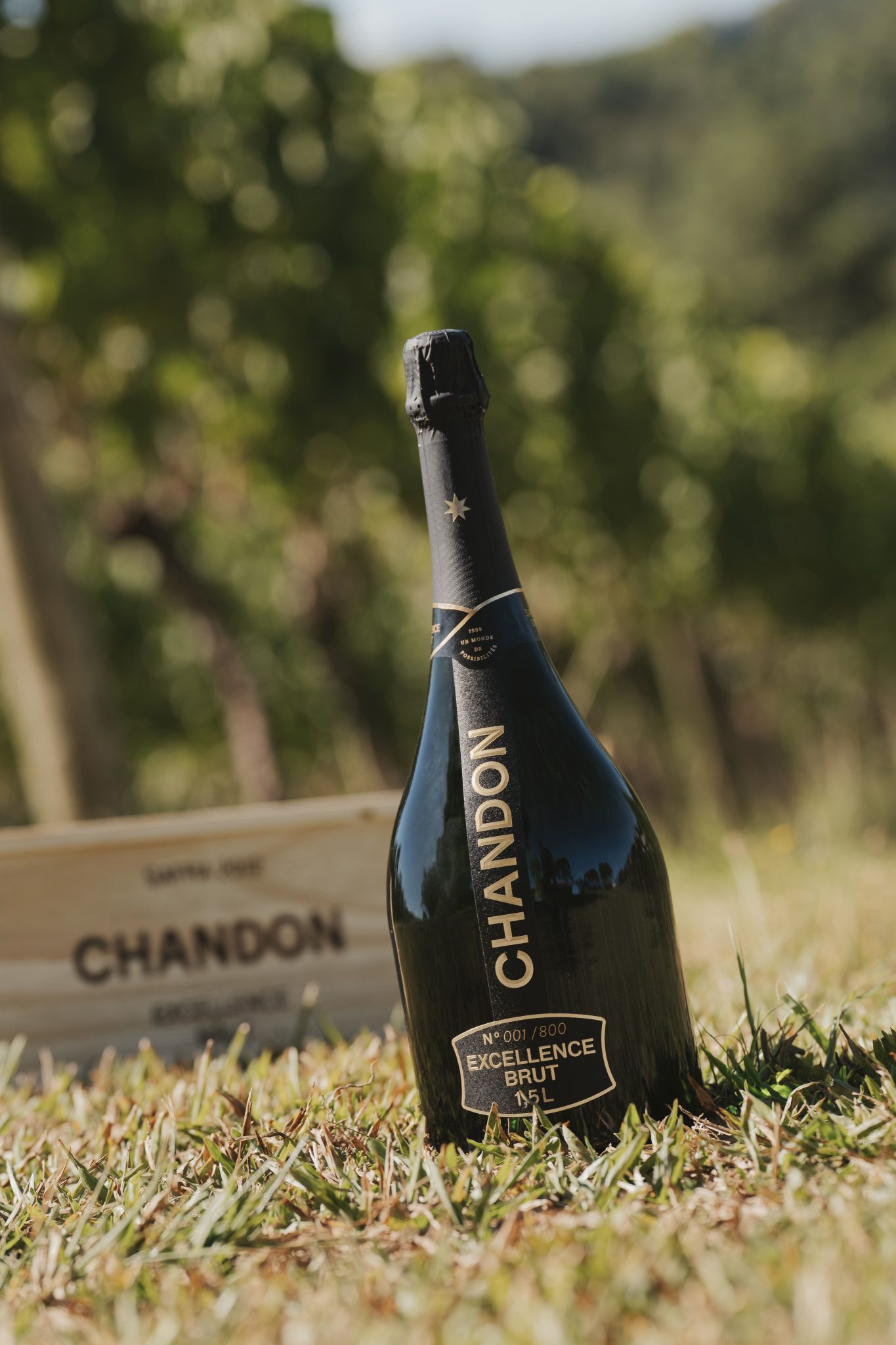 Por R$ 625, CHANDON apresenta edição limitada de CHANDON Excellence ...