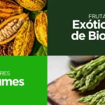 JeanFLV cresce atendendo pequenos varejistas com frutas, legumes e verduras