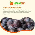 O catálogo de frutas, verduras e legumes da JeanFLV é diversificado.