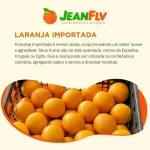 O catálogo de frutas, verduras e legumes da JeanFLV é diversificado.
