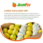 O catálogo de frutas, verduras e legumes da JeanFLV é diversificado.
