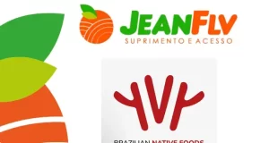 O catálogo de frutas, verduras e legumes da JeanFLV é diversificado.