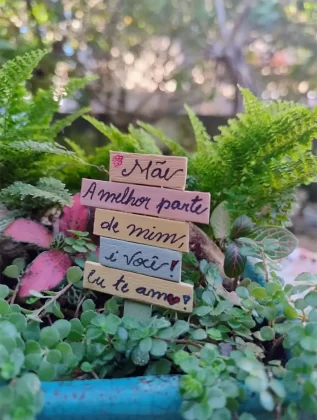 Os projetos dos Jardim em Miniatura são entregues de forma personalizada para esta data especial, com frete gratuito para a cidade de Aracaju.