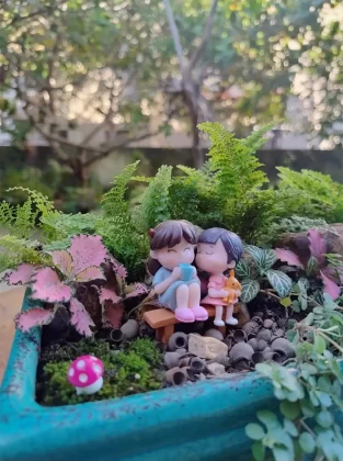 Os projetos dos Jardim em Miniatura são entregues de forma personalizada para esta data especial, com frete gratuito para a cidade de Aracaju.
