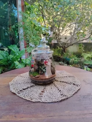 Os projetos dos Jardim em Miniatura são entregues de forma personalizada para esta data especial, com frete gratuito para a cidade de Aracaju.