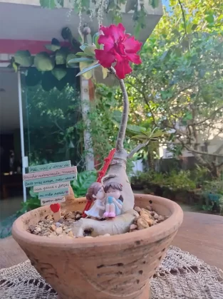 Os projetos dos Jardim em Miniatura são entregues de forma personalizada para esta data especial, com frete gratuito para a cidade de Aracaju.