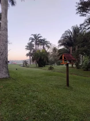 Evento reuniu corredores em meio a um dos cenários mais verdes da capital paulista.