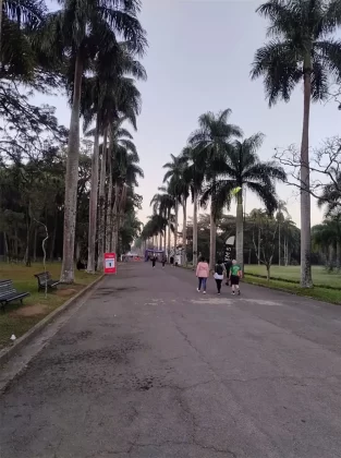 Evento reuniu corredores em meio a um dos cenários mais verdes da capital paulista.