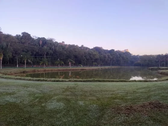Evento reuniu corredores em meio a um dos cenários mais verdes da capital paulista.