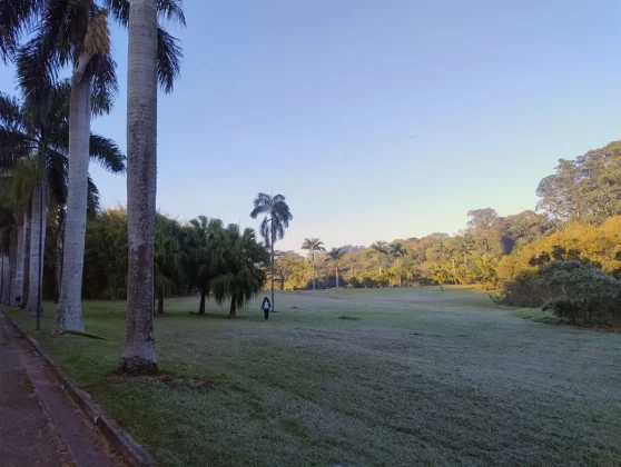 Evento reuniu corredores em meio a um dos cenários mais verdes da capital paulista.
