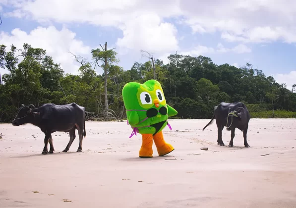 A iniciativa reforça importância do aprendizado de idiomas diante da COP 30.
