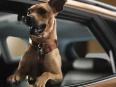 Chevrolet e Netflix lançam o exclusivo Tracker Caramelo