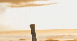 O torneio resgata uma tradição histórica, reunindo atletas experientes e novas promessas do tênis.
