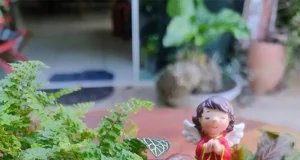Projetos com mini jardins e terrários com presépios e miniaturas temáticas.