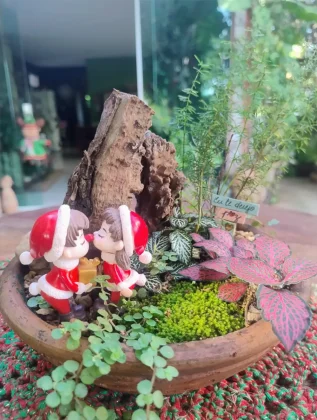 Projetos com mini jardins e terrários com presépios e miniaturas temáticas.