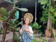 Feriado de 8 de Dezembro: veja onde é comemorado e o que abre e fecha Confira quais cidades brasileiras celebram a data