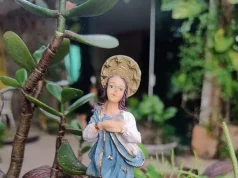 Feriado de 8 de Dezembro: veja onde é comemorado e o que abre e fecha Confira quais cidades brasileiras celebram a data