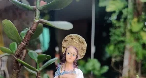 Confira quais cidades brasileiras celebram a data