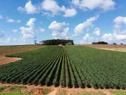 PIB do Brasil fica estável no terceiro trimestre de 2025 Indústria e Agropecuária puxam crescimento, enquanto Serviços mantém estabilidade; Economia brasileira soma R$ 3,2 trilhões no período.