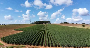 Indústria e Agropecuária puxam crescimento, enquanto Serviços mantém estabilidade; Economia brasileira soma R$ 3,2 trilhões no período.