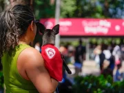 Bradesco realiza Super Pix Dog Day com ONG e transforma campanha em experiência real Bradesco realiza Super Pix Dog Day em parceria com ONG, promovendo adoção de cães, doações e engajamento em ação de marketing de experiência.