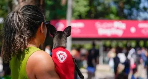 Bradesco realiza Super Pix Dog Day em parceria com ONG, promovendo adoção de cães, doações e engajamento em ação de marketing de experiência.