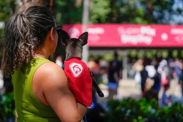 Bradesco realiza Super Pix Dog Day em parceria com ONG, promovendo ado&ccedil;&atilde;o de c&atilde;es, doa&ccedil;&otilde;es e engajamento em a&ccedil;&atilde;o de marketing de experi&ecirc;ncia.