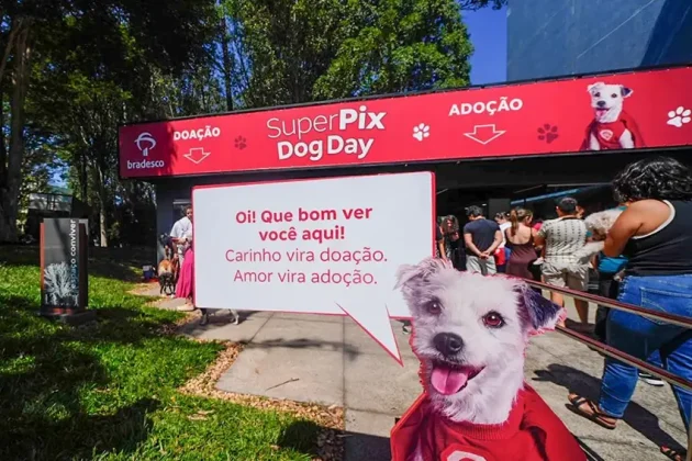 Bradesco realiza Super Pix Dog Day em parceria com ONG, promovendo ado&ccedil;&atilde;o de c&atilde;es, doa&ccedil;&otilde;es e engajamento em a&ccedil;&atilde;o de marketing de experi&ecirc;ncia.
