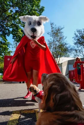 Bradesco realiza Super Pix Dog Day em parceria com ONG, promovendo ado&ccedil;&atilde;o de c&atilde;es, doa&ccedil;&otilde;es e engajamento em a&ccedil;&atilde;o de marketing de experi&ecirc;ncia.
