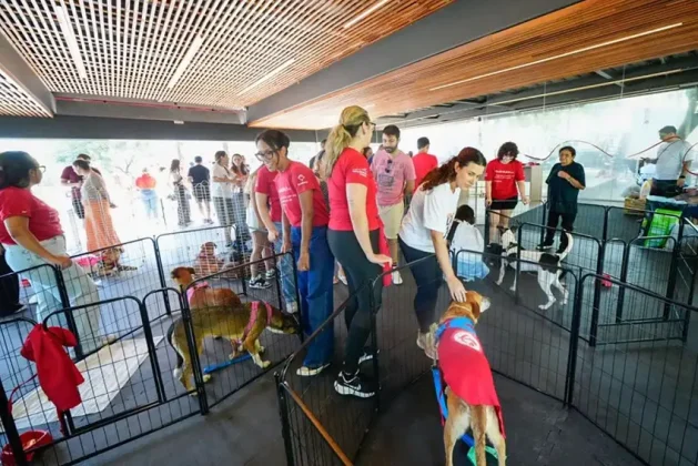 Bradesco realiza Super Pix Dog Day em parceria com ONG, promovendo ado&ccedil;&atilde;o de c&atilde;es, doa&ccedil;&otilde;es e engajamento em a&ccedil;&atilde;o de marketing de experi&ecirc;ncia.