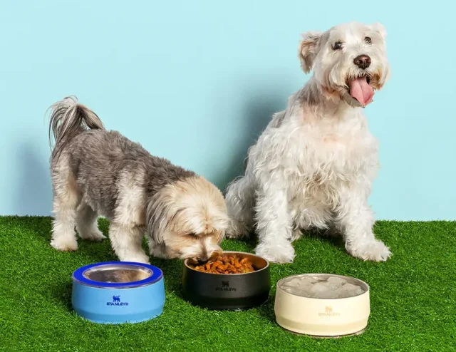 Marca conhecida por copos térmicos inicia pré-venda exclusiva do Pet Bowl para membros do hub Legionários. Marca conhecida por copos térmicos inicia pré-venda exclusiva do Pet Bowl para membros do hub Legionários.