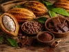 Lei define quantidade mínima de cacau em chocolates e segue para sanção presidencial Cacau e chocolate dispostos sobre mesa rústica de madeira, com frutos de cacau abertos, amêndoas, barras de chocolate e cacau em pó, em composição artesanal.