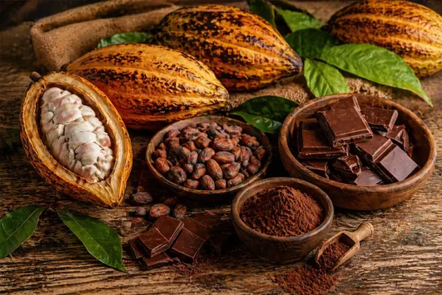 Cacau e chocolate dispostos sobre mesa rústica de madeira, com frutos de cacau abertos, amêndoas, barras de chocolate e cacau em pó, em composição artesanal.