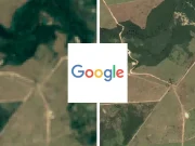 Google usa tecnologia para combater desmatamento no Brasil Google lança mapa de satélite detalhado para monitorar desmatamento no Brasil e apoiar ações ambientais com dados mais precisos.