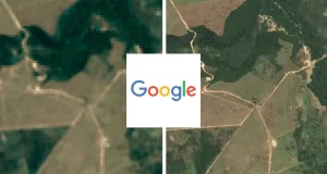 Google lança mapa de satélite detalhado para monitorar desmatamento no Brasil e apoiar ações ambientais com dados mais precisos.