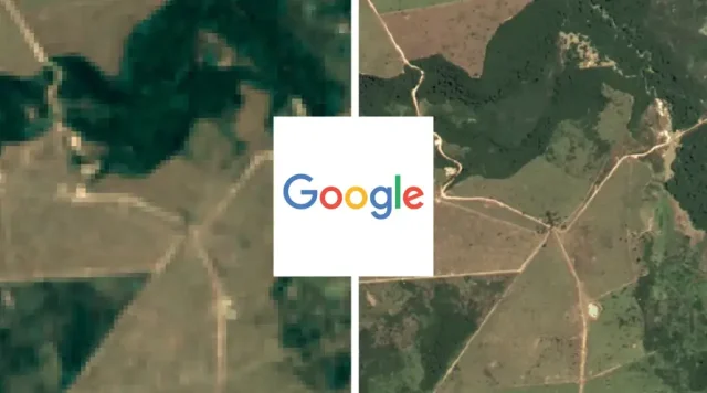 Google usa tecnologia para combater desmatamento no Brasil Google lança mapa de satélite detalhado para monitorar desmatamento no Brasil e apoiar ações ambientais com dados mais precisos.