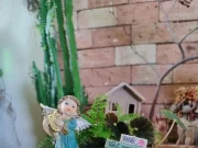 Jardim em Miniatura lança catálogo exclusivo de terrários e mini jardins para o Dia das Mães Jardim em Miniatura lança catálogo de terrários e mini jardins para o Dia das Mães, com foco em presentes afetivos e duradouros.