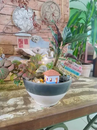 Jardim em Miniatura lan&ccedil;a cat&aacute;logo de terr&aacute;rios e mini jardins para o Dia das M&atilde;es, com foco em presentes afetivos e duradouros.