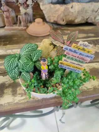 Jardim em Miniatura lan&ccedil;a cat&aacute;logo de terr&aacute;rios e mini jardins para o Dia das M&atilde;es, com foco em presentes afetivos e duradouros.