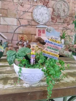 Jardim em Miniatura lan&ccedil;a cat&aacute;logo de terr&aacute;rios e mini jardins para o Dia das M&atilde;es, com foco em presentes afetivos e duradouros.