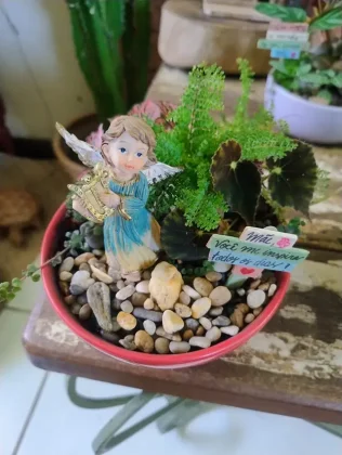 Jardim em Miniatura lan&ccedil;a cat&aacute;logo de terr&aacute;rios e mini jardins para o Dia das M&atilde;es, com foco em presentes afetivos e duradouros.