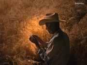 AB InBev lança campanha global para homenagear agricultores e valorizar origem da cerveja AB InBev lança campanha global "Cheers to Farmers" para homenagear mais de 24 mil agricultores parceiros e reforçar a importância do campo na produção de cerveja.