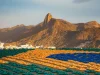 Havaianas cria bandeira do Brasil com mais de 4 mil pares de sandálias em ação no Rio Havaianas criou uma bandeira do Brasil com mais de 4 mil pares de sandálias no Bondinho do Pão de Açúcar para celebrar a estreia da Seleção.