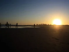 Aracaju proíbe publicidade de bets Aracaju proibiu a publicidade de plataformas de apostas esportivas em espaços públicos e engenhos publicitários. A medida foi anunciada pela prefeita Emília Correia e oficializada pelo Decreto nº 8.740.
