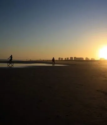 Aracaju proíbe publicidade de bets Aracaju proibiu a publicidade de plataformas de apostas esportivas em espaços públicos e engenhos publicitários. A medida foi anunciada pela prefeita Emília Correia e oficializada pelo Decreto nº 8.740.