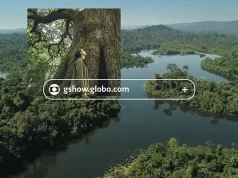 Vale e Globo promovem enquete nacional para escolher a árvore do Brasil Vale e Globo lançam a campanha "Um Brasil de Árvores" e convidam brasileiros a escolher a árvore que representa o país em uma enquete nacional.