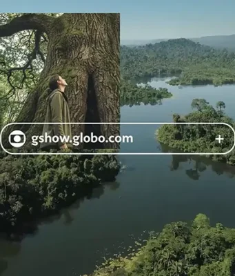 Vale e Globo promovem enquete nacional para escolher a árvore do Brasil Vale e Globo lançam a campanha "Um Brasil de Árvores" e convidam brasileiros a escolher a árvore que representa o país em uma enquete nacional.