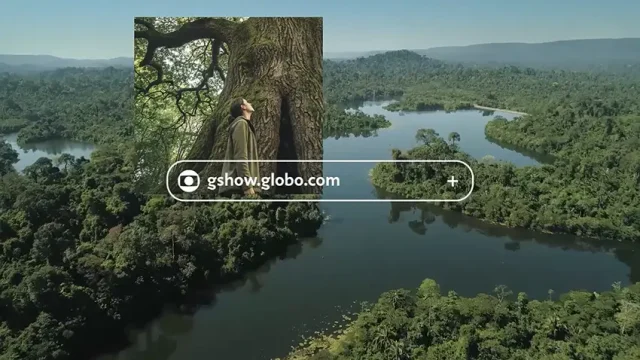 Vale e Globo lançam a campanha "Um Brasil de Árvores" e convidam brasileiros a escolher a árvore que representa o país em uma enquete nacional.