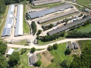 Seara já investiu mais de R$ 4 bilhões na plataforma SuperAgro Seara supera R$ 4 bilhões investidos no SuperAgro em dez anos. Plataforma reúne mais de 9 mil granjas e incentiva tecnologia, desempenho e capacitação.