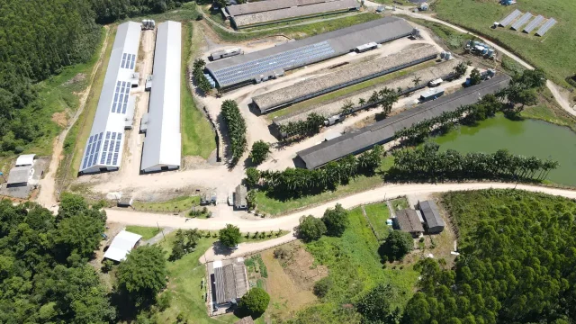 Seara supera R$ 4 bilhões investidos no SuperAgro em dez anos. Plataforma reúne mais de 9 mil granjas e incentiva tecnologia, desempenho e capacitação.